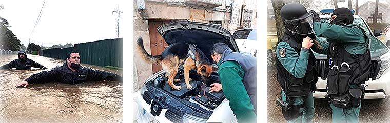 Imagen: Test Oficial Guardia Civil Imagen 2