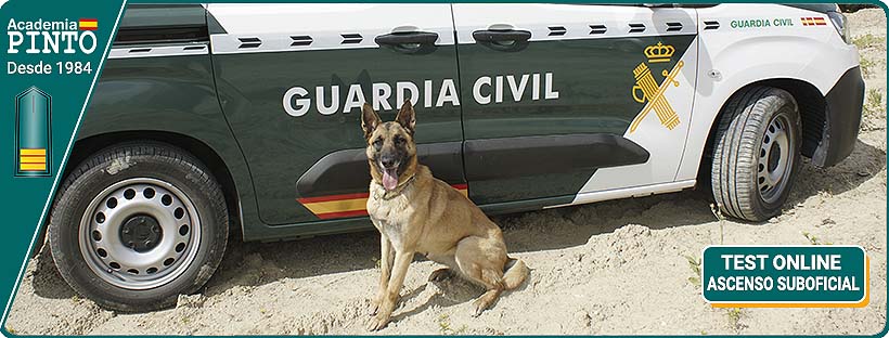 foto: Oposiciones Ascenso a Suboficial Guardia Civil test Online